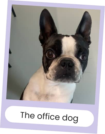 The office dog
